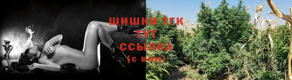 молекула духа Баксан