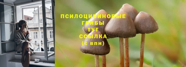 дмт Балахна