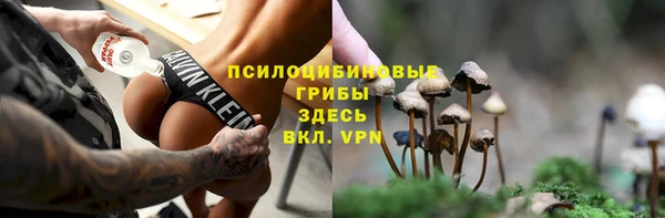 молекула духа Баксан