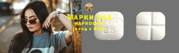 хмурый Богданович