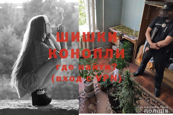 молекула духа Баксан